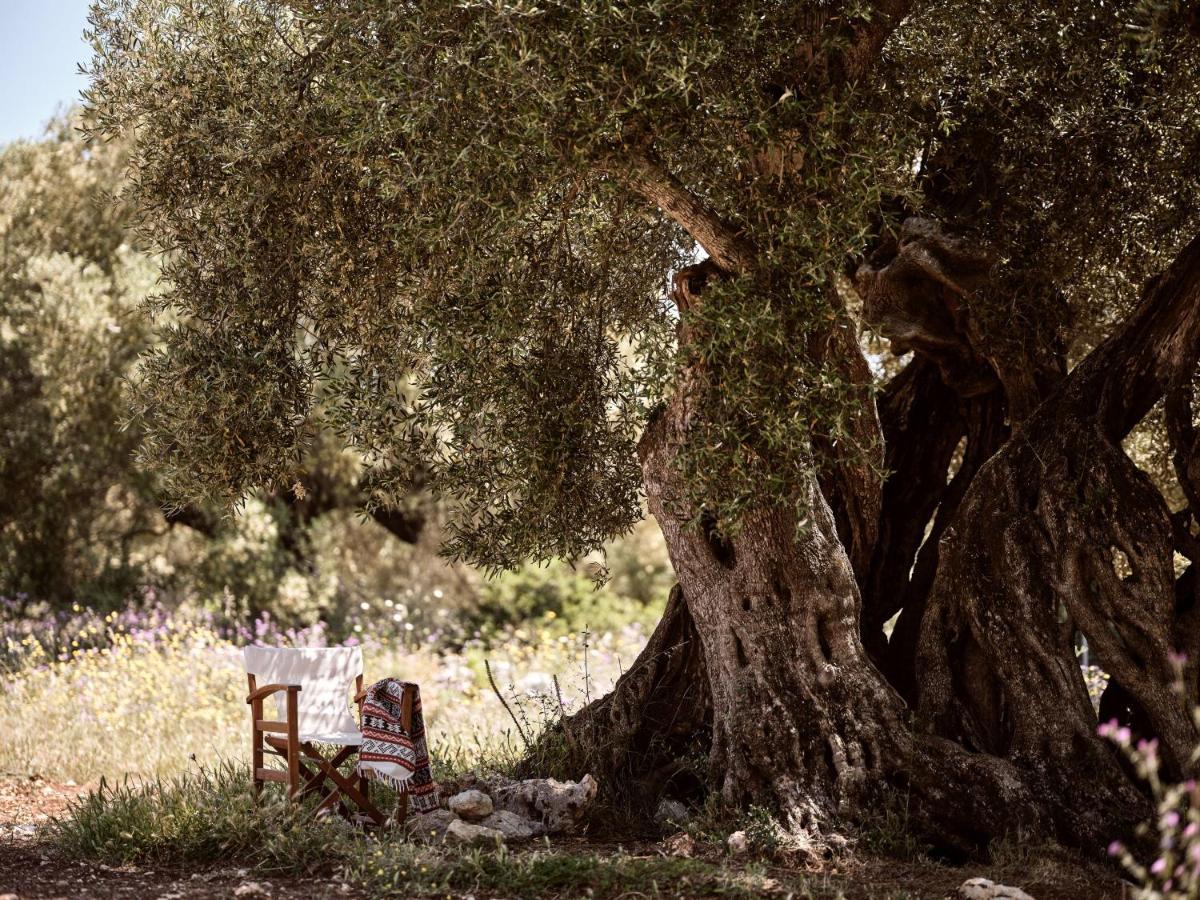 Dounias Village - Traditional Architecture & Modern Luxury Semesterbostad